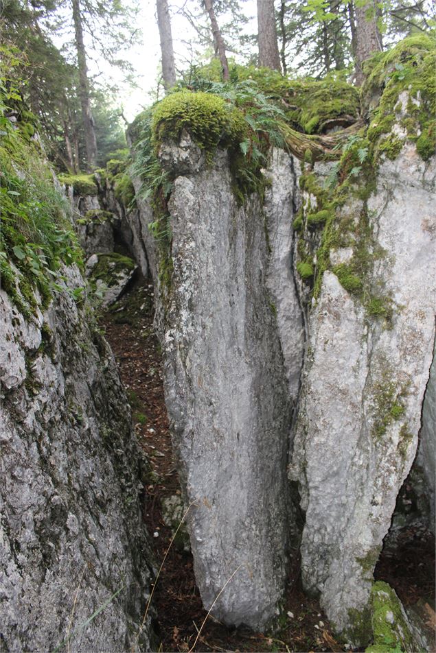 Le canyon du Ture - ©jthevenard