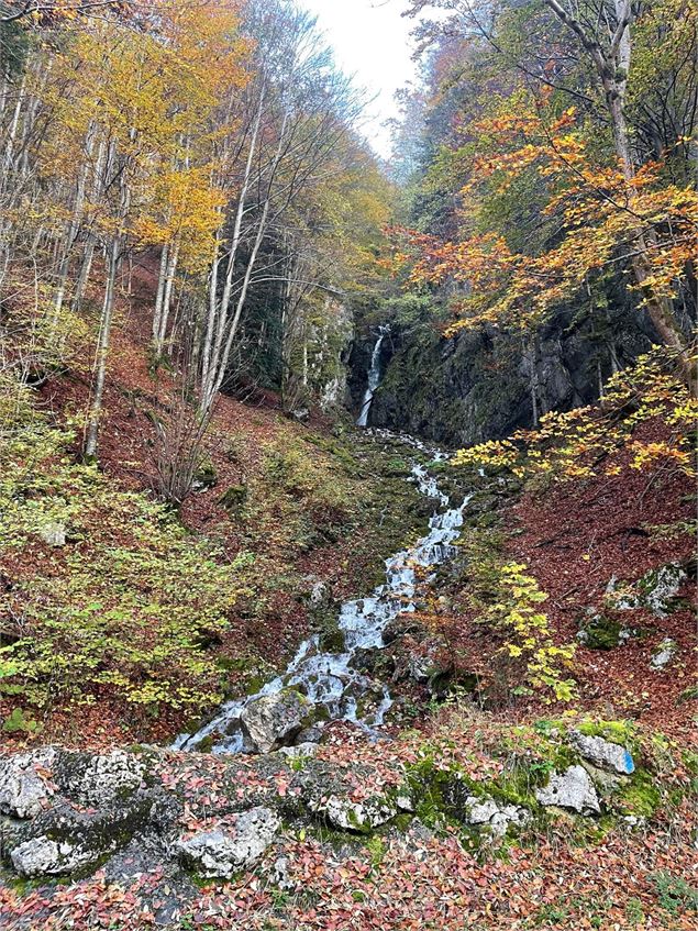 Cascade de Brion - ©Alegrand