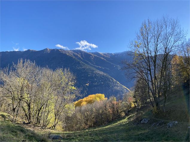 Parcours Trail : Croix des Charrières_Saint-Colomban-des-Villards - Alicia BLANCHET