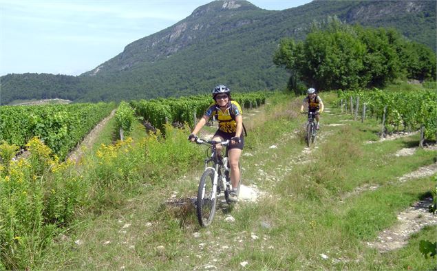 Parcours VTT n°19 - Circuit du Vignoble de Jongieux - Club VTT d'Aiguebelette