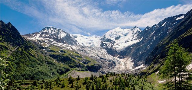 Glacier de Bionnassay