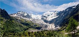 Glacier de Bionnassay