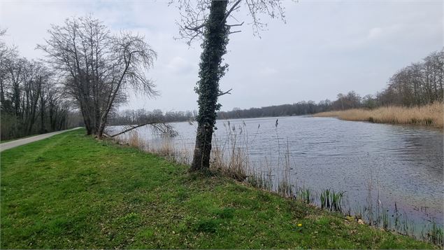 Lent - Veyle et Etangs_Lent - scalland
