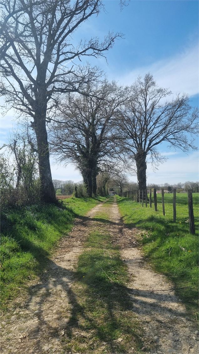 Randonnée - Tour de Certines et du château de Genoud_Certines - scalland