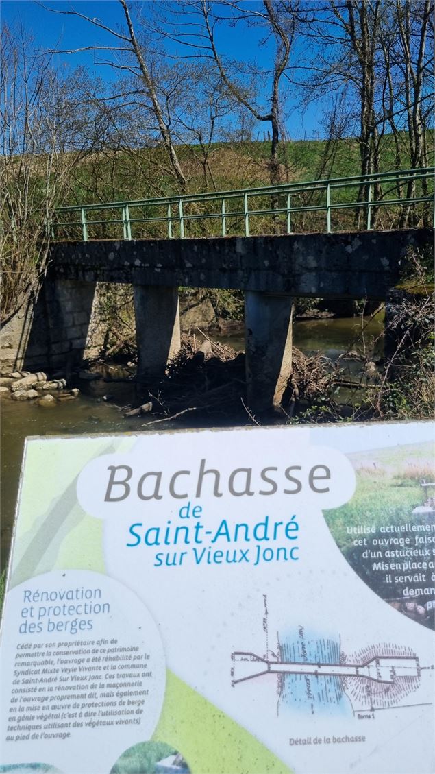 Balade - Domaine de Cuiset et le Vieux Jonc_Saint-André-sur-Vieux-Jonc - scalland