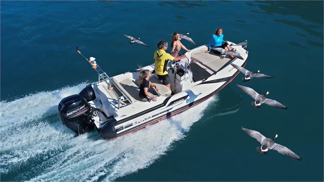 Escapade en bateau avec les oiseaux migrateurs_Doussard - Delta Evasion