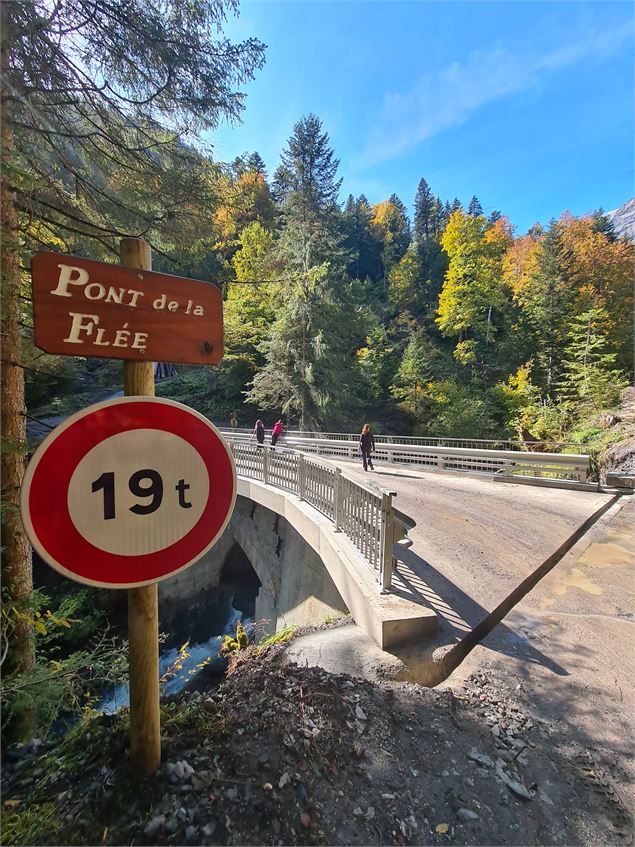 sentier VTT : boucle du Pont de la Flée_Sallanches - Véronique Lorenzi