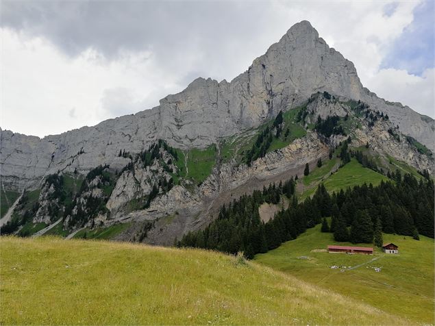 sentier VTT : l'alpage de Véran_Sallanches - Emilie Perrin