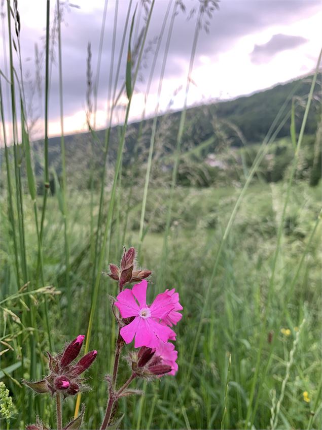 Vallée de la Valserine - Lélex - ©Annelegrand