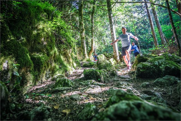 Trail dans les forêts du lac d'Aiguebelette - C. Quintard