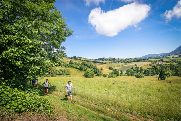 Trail au lac d'Aiguebelette - C. Quintard