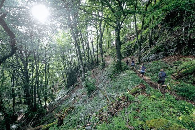 Espace trail Aiguebelette - ©cyrille quintard