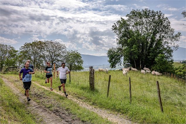 La chasse de l'oreillard - C. Quintard