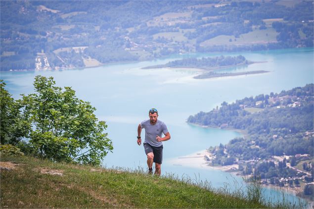Le trail du lynx - C. Quintard