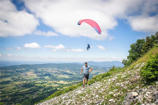 La verticale du chamois - C. Quintard