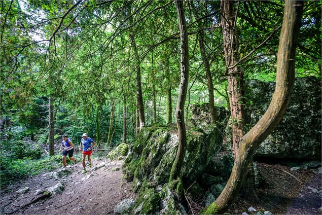 Trail au lac d'Aiguebelette - C. Quintard