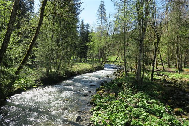 La Dranse - Victor Demilly / Vallée d'Aulps Tourisme