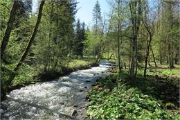 La Dranse - Victor Demilly / Vallée d'Aulps Tourisme