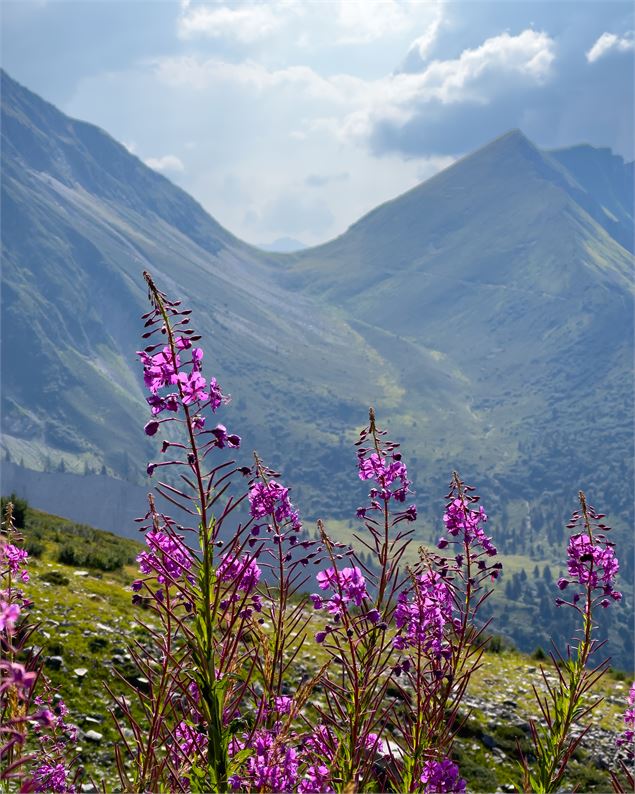 Col de Tricot
