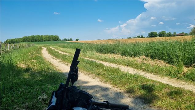 Circuit VTT n°24 (rouge) - La St Martin - GBA