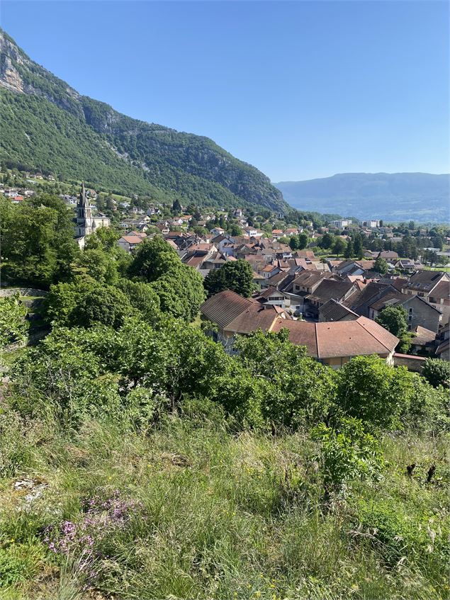 Tour du Mont Jugean_Culoz-Béon - M.Ballet