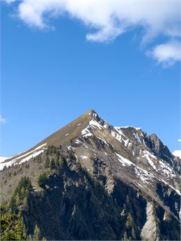Le Mont Vorassay