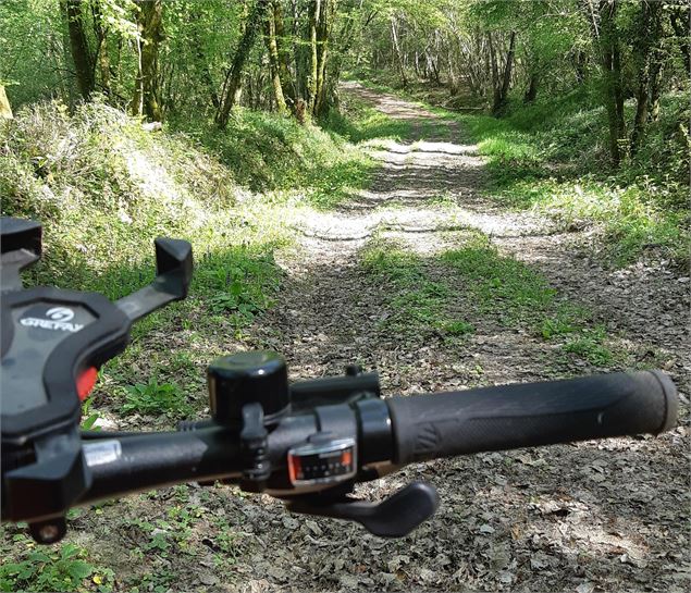 Circuit VTT n°16 (vert) Plaine de Ceyzeriat - Bois de Teyssonge - ©scalland