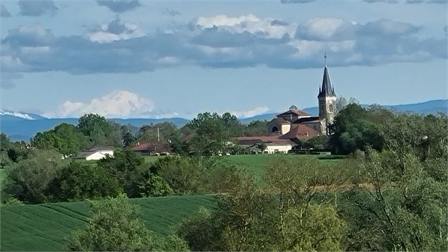 Circuit VTT-VTC n°27 (noir) - Les domaines de Bresse - scalland