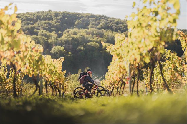 Circuit VTT n°20 (bleu) Passerelle des Vendangeurs - Journans la Sce - Mizenboite
