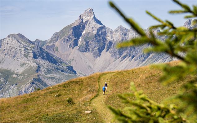 Sentier de l'Arbaron avec la Pointe Percée - OT Flaine / C.Genard