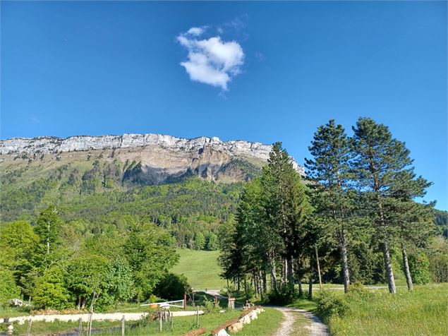 Randonnée au Col de Plainpalais depuis la Féclaz_La Féclaz - Flora Dutordoir
