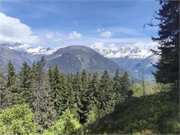 Tête Noire par le col de la Forclaz_Passy - Léon FUCHS