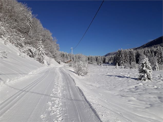 Du retour du Niaizet - OTpaysdegex