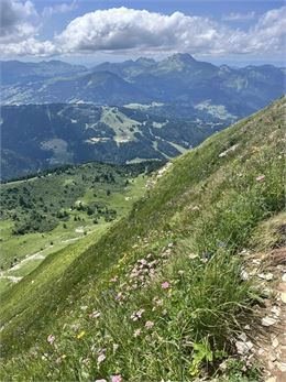 Pointe de Ressachaux_Morzine