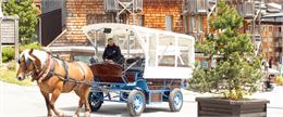 Transport en calèche électrique