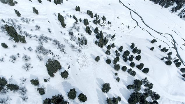 En pleun cœur de la réserve naturelle - © David ANDRE-S3V