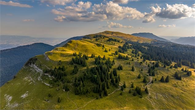 Randonnée pédestre : La Grande Marche Populaire de Gex_Gex - ©up drone