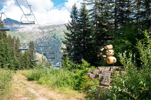 Sentier sous télésiège - OT Flaine - N.Ladrix