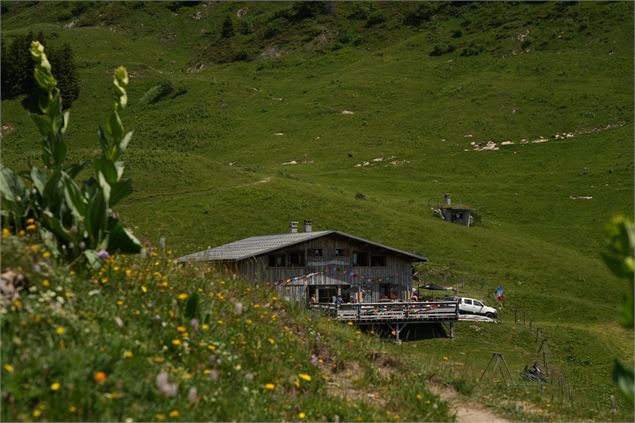 Col de la Golèse par le refuge_Morzine