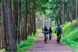 Vélo en foret en famille - Pixabay