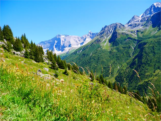 Panorama sur les glaciers - OTGP