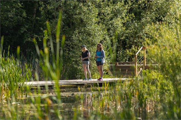 Sentier de randonnée - Ponts et moulins_Fillinges - arnaud lesueur