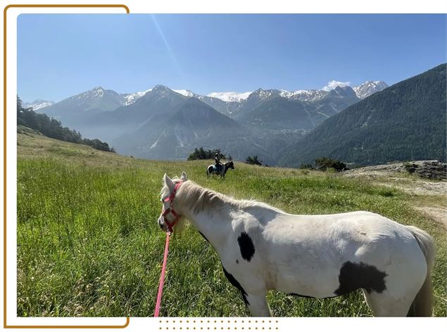 Chevaux en montagne - Les Ecuries de Bissorte