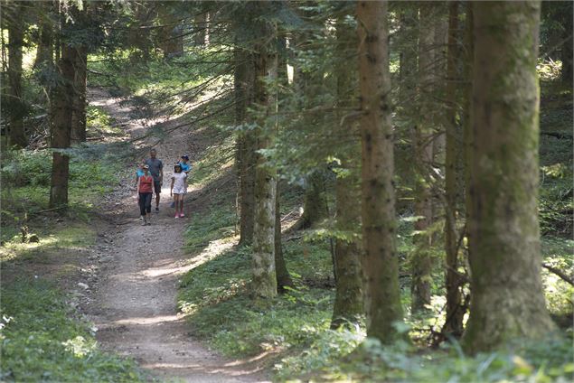 Forêt du Mont Tournier, secteur de St Mautice-de-Rotherens - OT Val Guiers@A. Cottarel