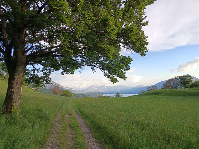 Corsuet - Le loup (accessible sans voiture)_Aix-les-Bains - Johanna Gauthier