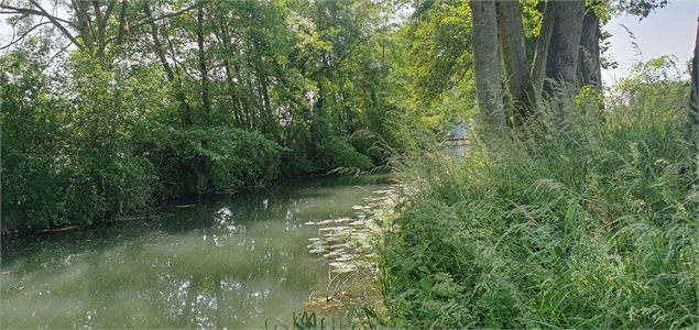 Balade - Marais de Molière et de Vial - GBA