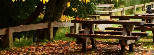 Table de pique nique - Canva