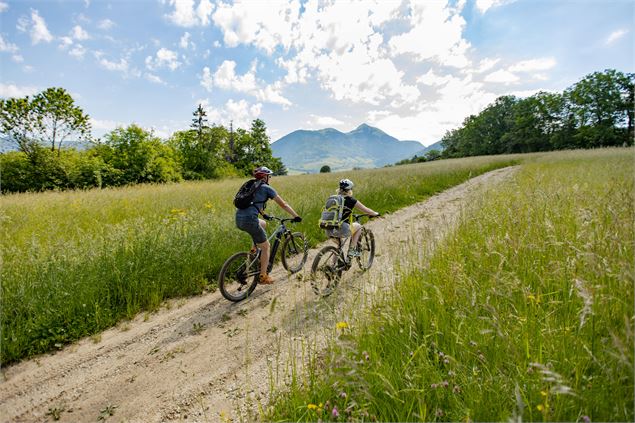 Sentier des grands prés - arnaud lesueur