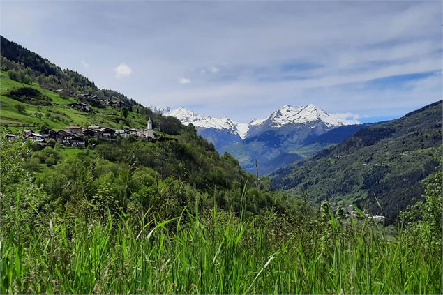 Le village entouré par le verdoyant paysage estival - Communauté de Communes Haute Tarentaise