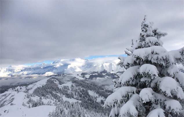Les Crêtes du Torraz - Sylvia Revillard